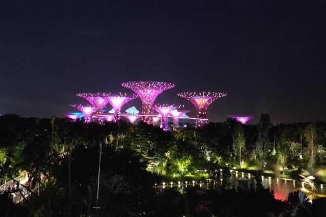 Private Tour: Nighttime Sightseeing with River Cruise - Best fit: who should book this Singapore night tour