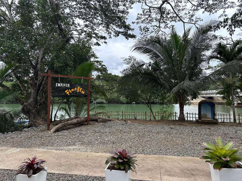 Puerto Princesa: Iwahig Firefly Watching & River Cruise - The guide vibe: why the experience can swing positive or negative