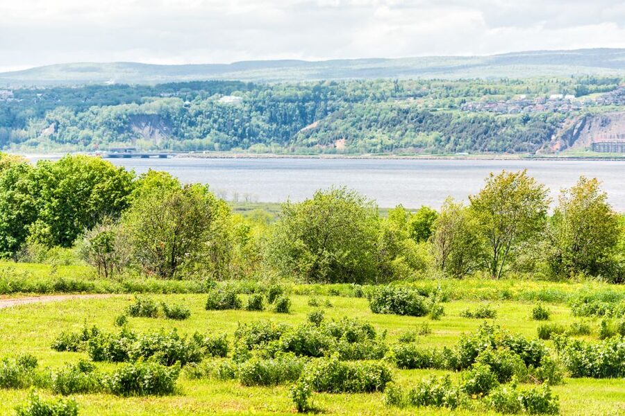 Québec City: Guided Sightseeing River Cruise - Who should book this cruise (and who might skip it)