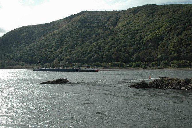 Rhine Valley Trip from Frankfurt including Rhine River Cruise - Rüdesheim-Assmannshausen meal stop: included food, plus browsing time for souvenirs