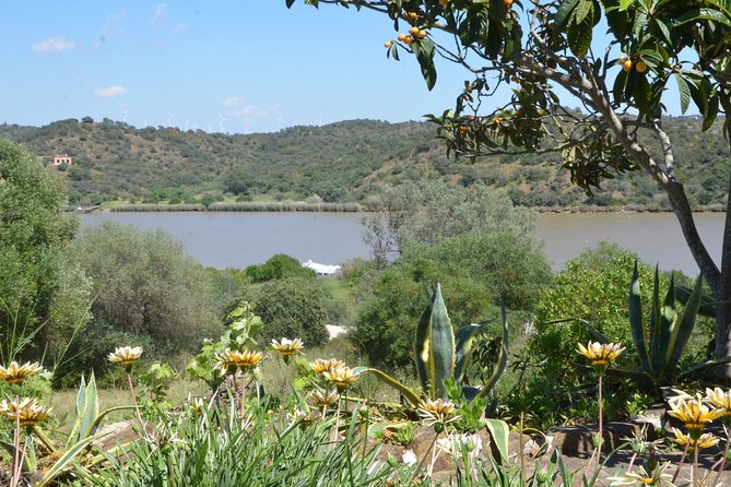 Rio Guadiana River Cruise - Quinta do Rio: The Pool Stop That Saves the Day (Literally)