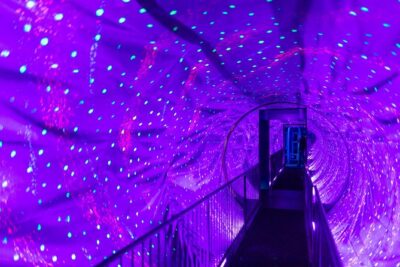 Ripley's Believe It or Not Amsterdam & 1-Hour Canal Cruise - On the canal: Amsterdam Canal Ring views with 19-language audio