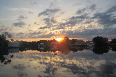 River Cruise Tour with Manatee Viewing - The 1.5-hour plan: how the cruise is paced and what to expect