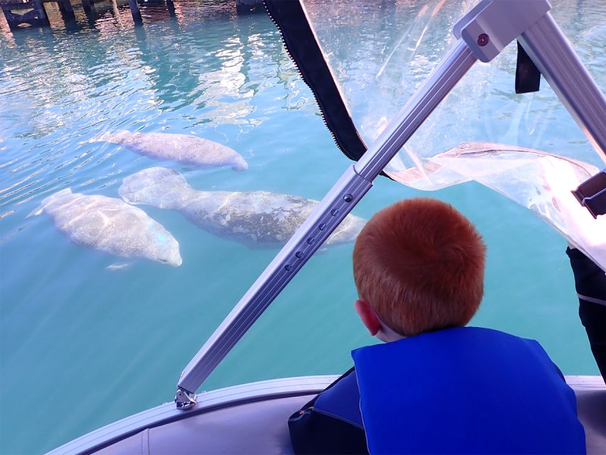 River Cruise with Manatee Viewing - How the eco-cruise works on the water