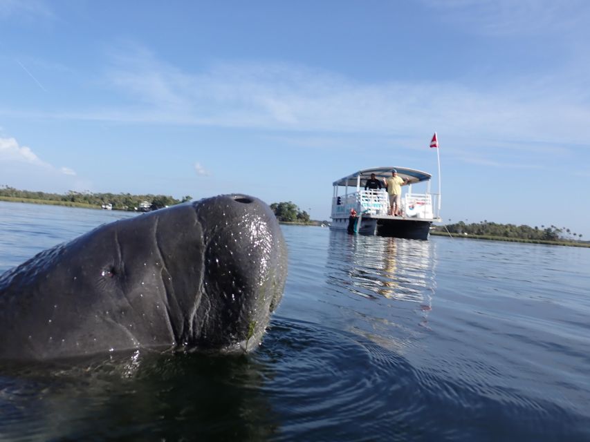 River Cruise with Manatee Viewing - Captain and guide: why the narration improves everything