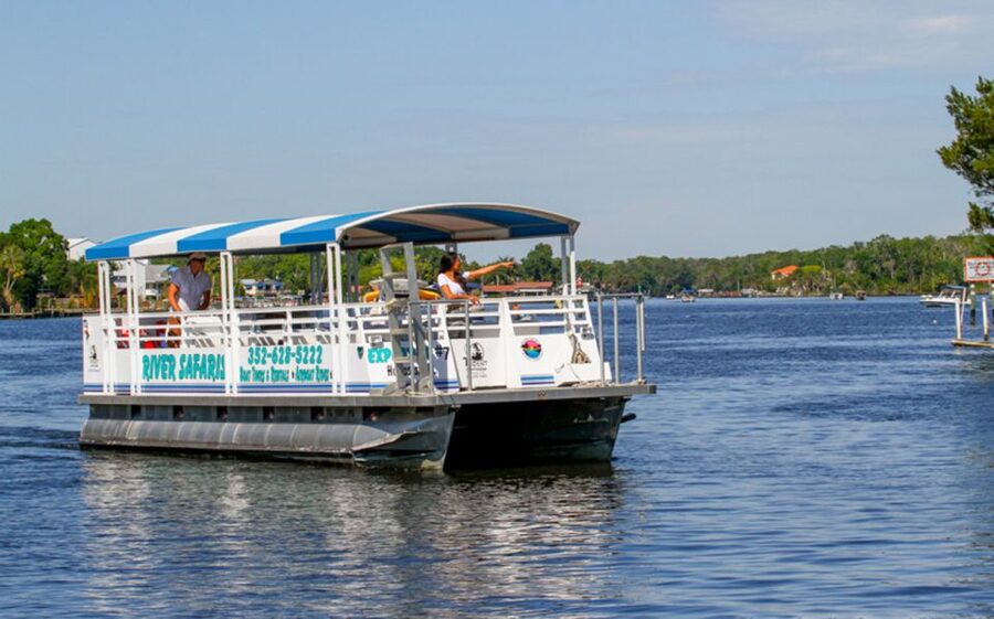 River Cruise with Manatee Viewing - Price and value: what $39 buys you (and what it doesn’t)