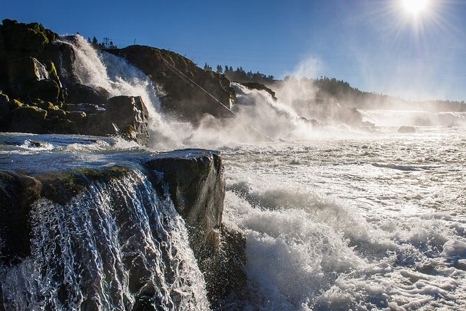Scenic 2-Hour River Cruise to the Majestic Willamette Falls! - Key things I’d focus on before you book