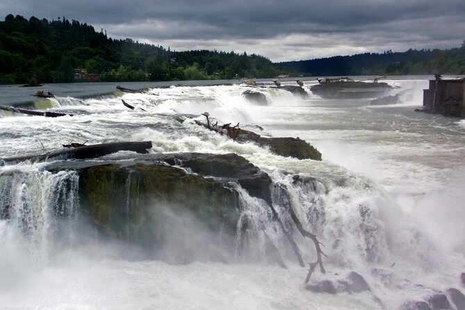 Scenic 2-Hour River Cruise to the Majestic Willamette Falls! - Portland to Willamette Falls: Why This 2-Hour Cruise Works