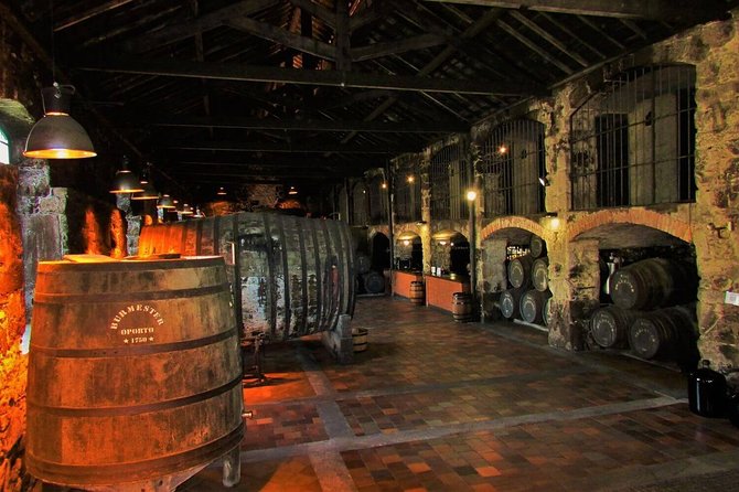 Secrets of Porto and Douro Valley with River Cruise - Day 5 back in Porto: check out and head to the airport