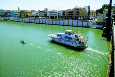 Seville: Guadalquivir River Cruise with Lunch or Dinner - What the 2.5-Hour Cruise Actually Feels Like