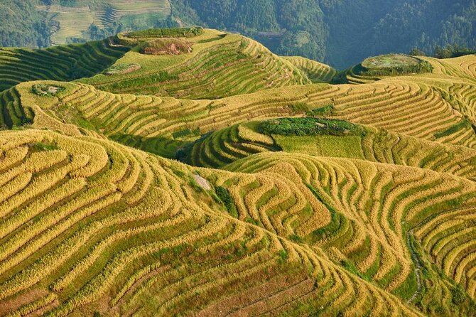 Short Li-River cruise and Longji Rice Terraces Private Day Tour - Key things to know before you go