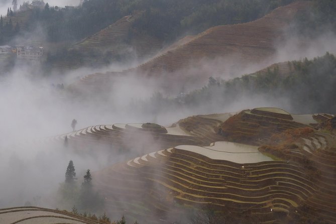 Short Li-River cruise and Longji Rice Terraces Private Day Tour - A One-Day Guilin Double Feature: Li River + Longji Terraces