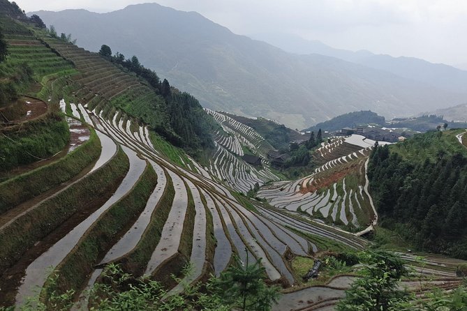 Short Li-River cruise and Longji Rice Terraces Private Day Tour - Dragon’s Backbone Terraces at Ping’an or Dazhai: Village Views and Practical Walking