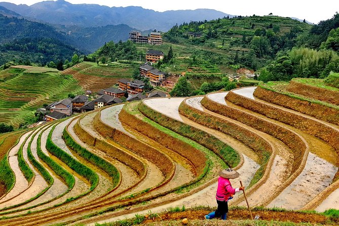 Short Li-River cruise and Longji Rice Terraces Private Day Tour - Where the Private Guide Makes the Difference (Andy’s Practical Touch)
