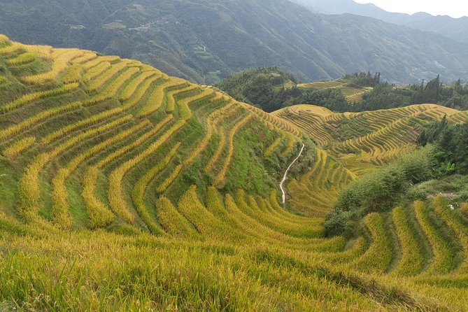 Short Li-River cruise and Longji Rice Terraces Private Day Tour - Price and Value Check: What $136.13 Covers and What You’ll Pay Extra