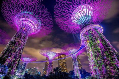 Singapore: Nighttime City Sightseeing Tour with River Cruise - Pickup timing, small-group pacing, and what that means for your night