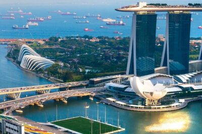 Singapore Panoramic Sightseeing Private Tour with River Cruise - Chinatown Time: Street Life, Temples, and Snack-Style Touring