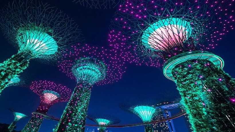 Singapore: Private Nighttime Sightseeing with River Cruise - Private vehicle + live guide: the comfort factor you’re paying for