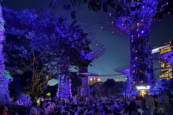 Singapore River Cruise, Night Garden Rhapsody and Spectra Tour - Key things to know before you go