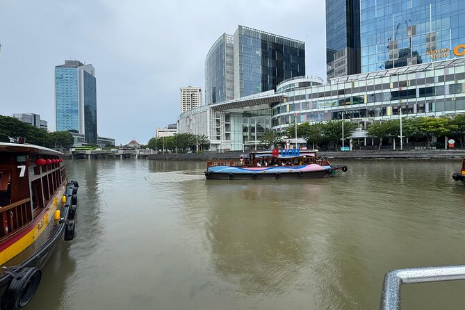 Singapore River Cruise, Night Garden Rhapsody and Spectra Tour - Why this 4-hour night route feels worth it