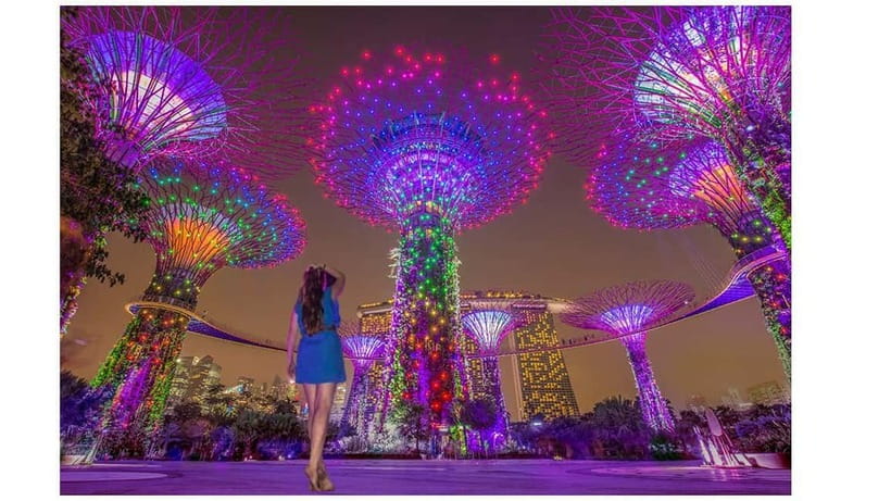 Singapore River Cruise, Spectra & Garden Rhapsody Light Show - Quick hits: what makes this night tour work