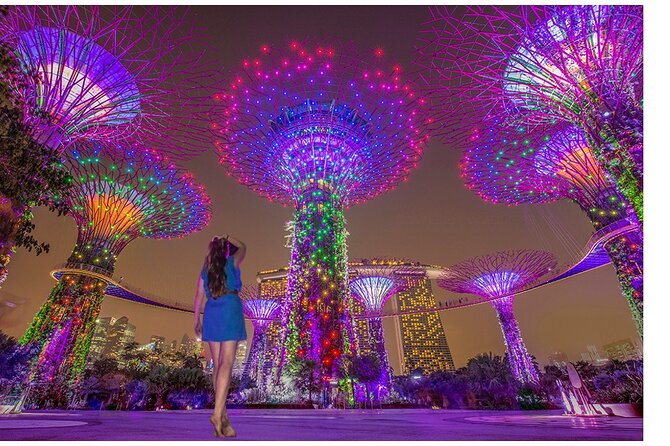 Singapore River Cruise with Spectra & Garden Rhapsody Light Show - What Makes This Night Tour Worth Your Time