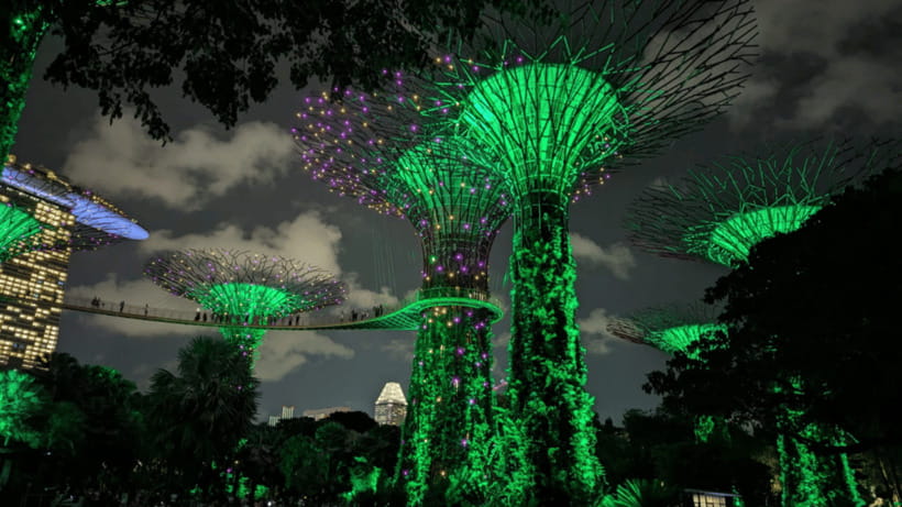 Singapore: Sunset River Cruise and Glittering Light Shows - Price and value: what you’re really paying for