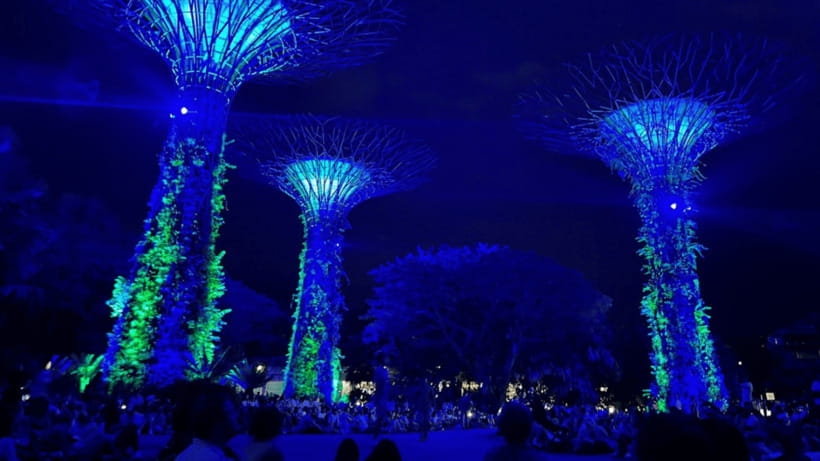 Singapore: Twilight Tour with River Cruise and Light Shows - Price and Value: What $55 Buys for Four Hours