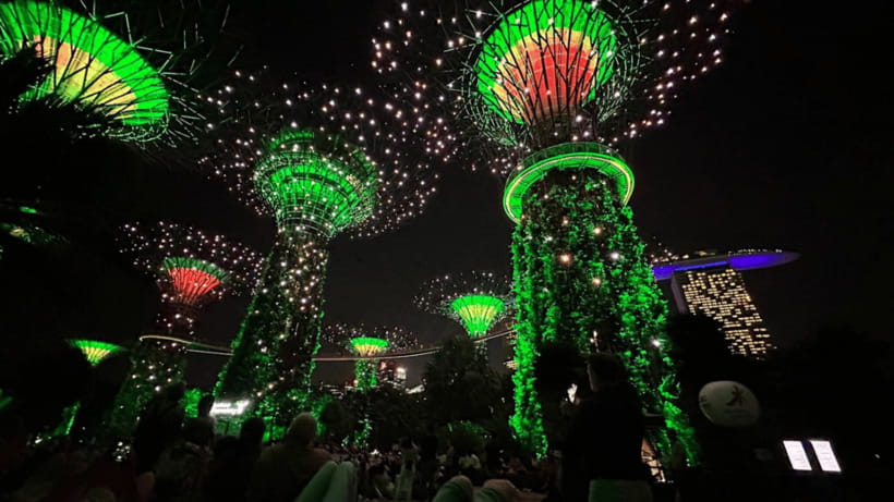Singapore: Twilight Tour with River Cruise and Light Shows - What You’ll Walk, Stand, and Manage During the Evening