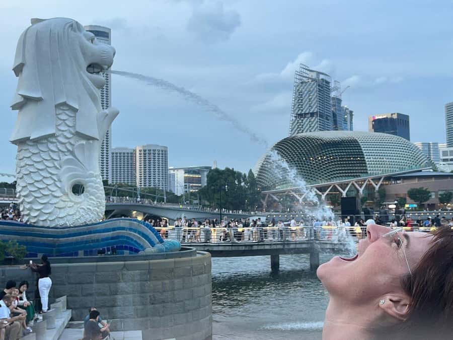 Spectra & Garden Rhapsody Shows with Singapore River Cruise - A smart one-night mix: river views plus two signature light shows