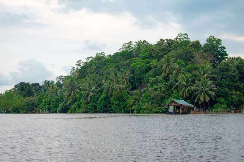 Sri Lanka Bentota: Private Mangrove Lagoon and River Cruise - Crocodiles, monitors, lizards, and monkeys: how spotting really works
