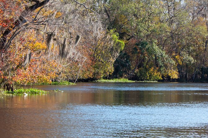 St. Johns River Cruise - Blue Spring State Park - Stop 1 at Blue Spring State Park: quick park time and the $6 vehicle fee