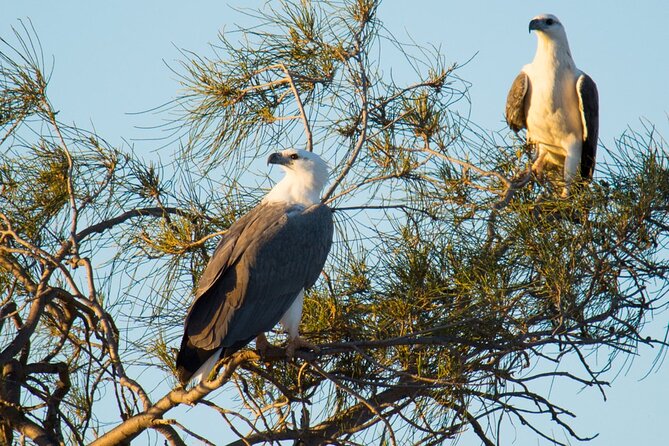 Sunset River Cruise in Kalbarri - Why the Murchison River at sunset works so well in Kalbarri