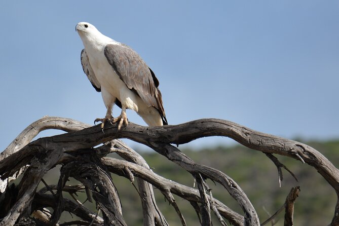 Sunset River Cruise in Kalbarri - Stops and pacing: how the time feels during the cruise