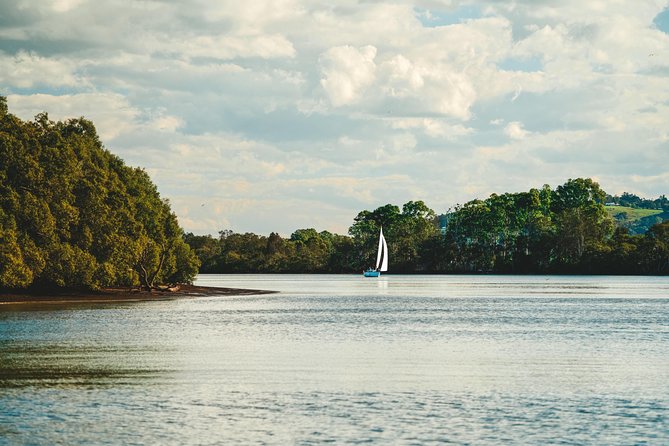 Sunset River Cruise near Byron Bay - On the boat: mangroves, wildlife, and what the marine biologist adds