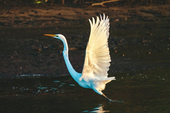 Sunset River Cruise near Byron Bay - Sunset views, snacks, and drinks that keep the evening easy