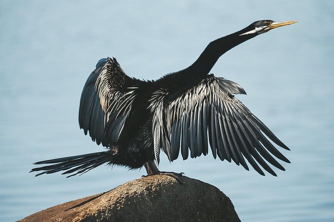 Sunset River Cruise near Byron Bay - Who this cruise is best for (and who might want something else)