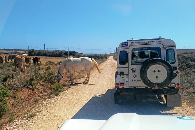 Super Day- Jeep Tour + Arade River Cruise - Key things to know before you go