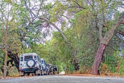 Super Day- Jeep Tour + Arade River Cruise - Getting There From Portimão: Pickup and Timing