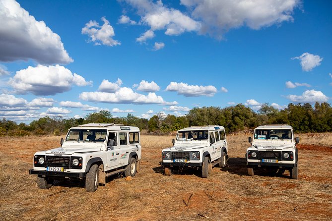 Super Day- Jeep Tour + Arade River Cruise - Honey, Medronho, and Local Flavor Stops That Make the Day Feel Real
