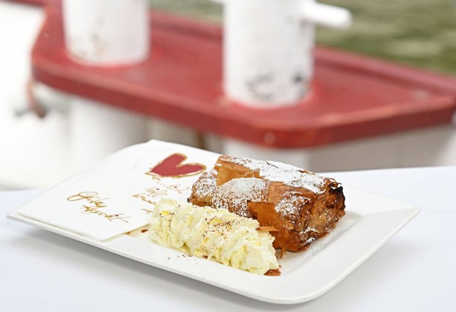 Vienna: Danube River Cruise w/ optional Viennese Specialties - Key Things I’d Book This For