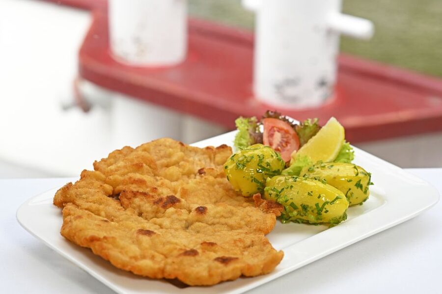 Vienna: Danube River Cruise w/ optional Viennese Specialties - Danube Views From Vienna’s Waterline With DDSG Blue Danube