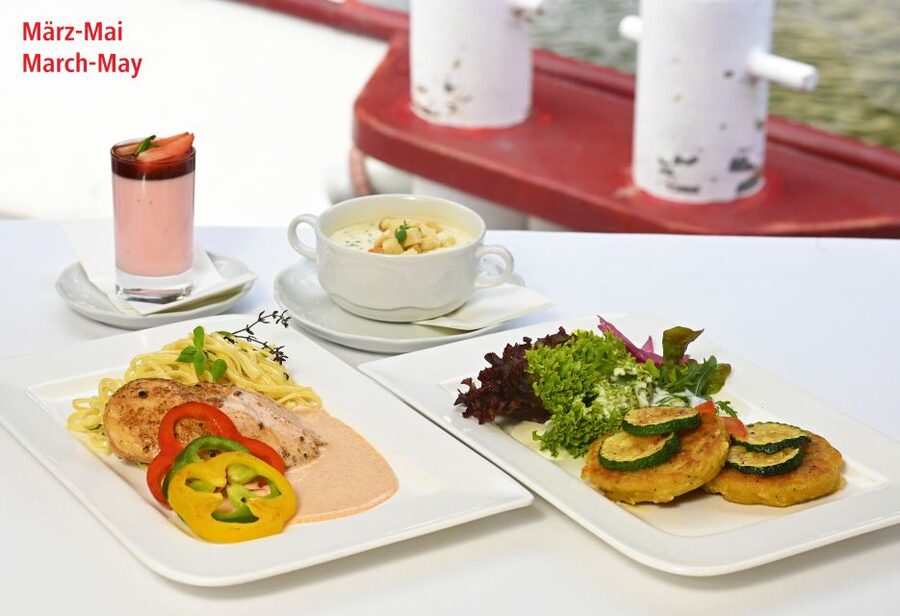 Vienna: Danube River Cruise w/ optional Viennese Specialties - From the Danube Company Dock to the Nussdorf Locks: Modern Vienna First
