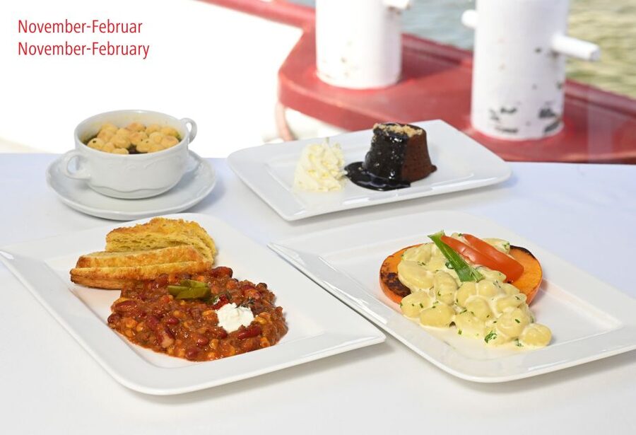 Vienna: Danube River Cruise w/ optional Viennese Specialties - Schwedenplatz Ending vs Freudenau Lock and Danube Island: The Route Changes the Mood