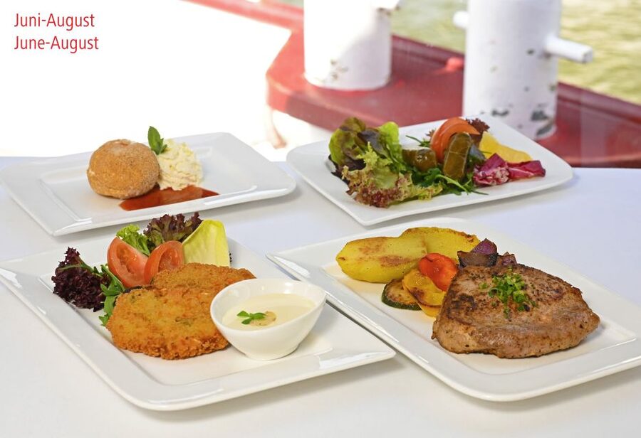 Vienna: Danube River Cruise w/ optional Viennese Specialties - Practical Tips for a Smooth, Comfortable Cruise Day
