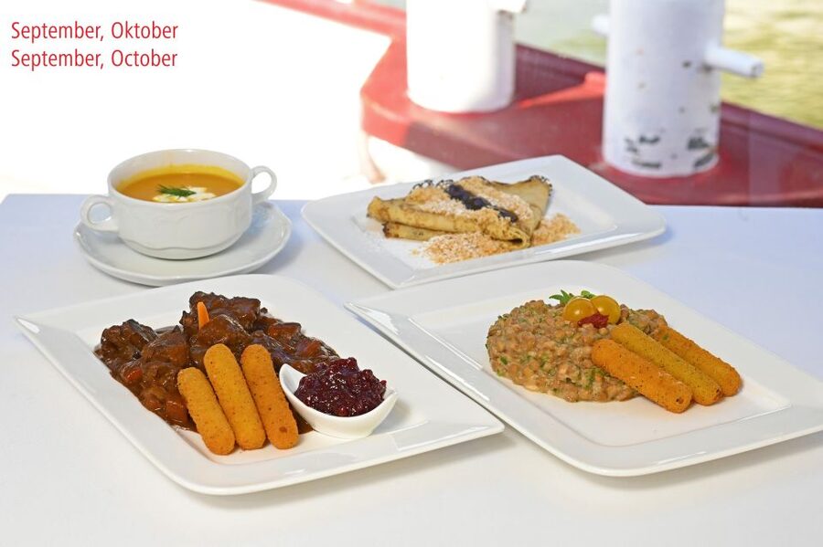 Vienna: Danube River Cruise w/ optional Viennese Specialties - Short vs Long Cruise: Pick the One That Matches Your Energy