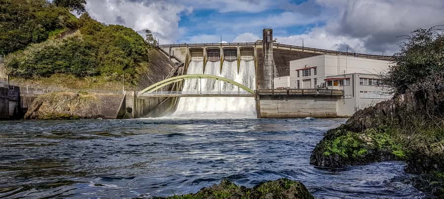 Waikato River: 1-Hour Ecological River Cruise - Jet boat + ecology: how the Waikato cruise really feels