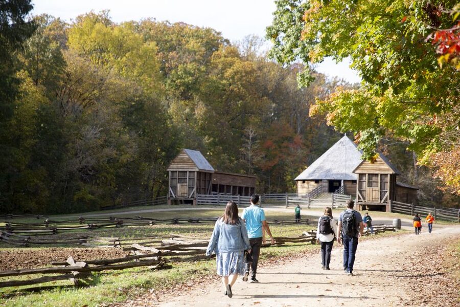 Washington DC: Mt. Vernon Day Trip with River Cruise - Who This Mount Vernon River Cruise Fits Best