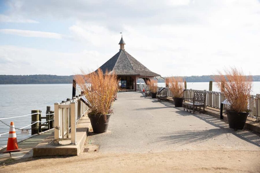 Washington DC: Mt. Vernon Day Trip with River Cruise - Potomac River cruise with VIP seating: the views are only half the point